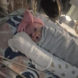 Harper Hudson
