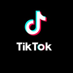 TikTok USA