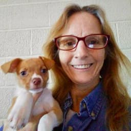 Karen Brooks