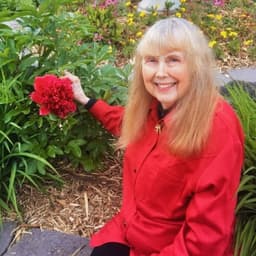 Darlene Dommel